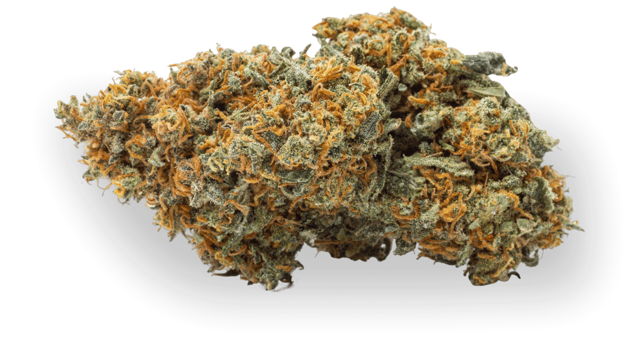 Close-up of cannabis bud on black background.